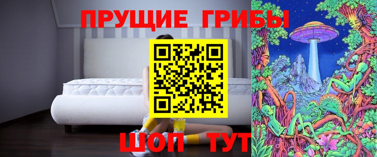Галлюциногенные грибы Psilocybine cubensis Серов
