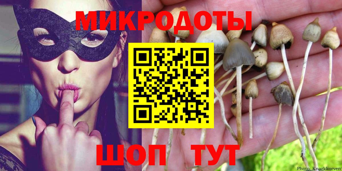 Серов  Псилоцибиновые грибы прущие грибы  Вход с VPN 